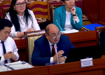 Улуттук банктын төрагасы: «Спекулянттар Орусияга доллар салынган каптарды ташып жатышат»