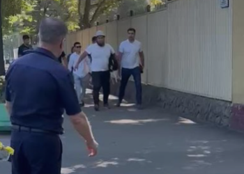 «Дөө Чыңгыз» каймана аттуу кримтөбөлдүн УКМКга өзү келген видеосу тарады