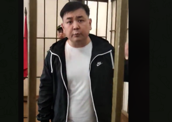 Жарандык активист Мелис Аспековдун жаза мөөнөтү кыскартылды