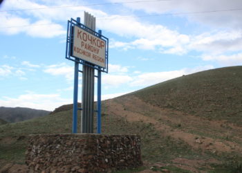 Нарында аялына бычак менен кол салган кишинин жансыз денеси бакчадан табылган