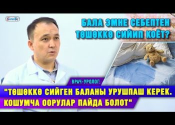 “Төшөккө сийген бала койдун майы менен дарыланбайт” I Врач-уролог