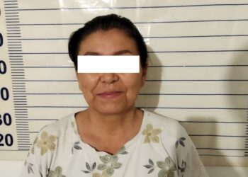 «8 кылмыш ишине тиешеси бар экени аныкталган». Чүйдө алдамчылыкка шектелген аял кармалды