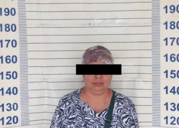 Соцтармак аркылуу экстремисттик уюмдардын материалдарын жайылтууга шектүү аял кармалды