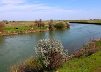 Чүйдө мал кайтарууга кеткен жаран дайынсыз болууда. Анын кийимдери суу жээгинен табылган