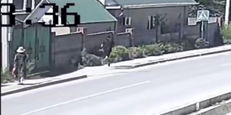 Бишкекте пенсионердин моюнунан алтын чынжырын жула качкан шектүү кармалды (видео)