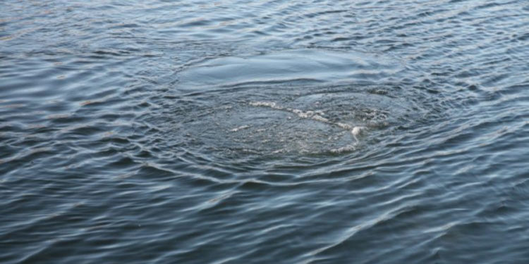 «Туугандары менен сууга түшкөнү барышкан». Жалал-Абадда жансыз денеси суудан табылган окуянын чоо-жайы