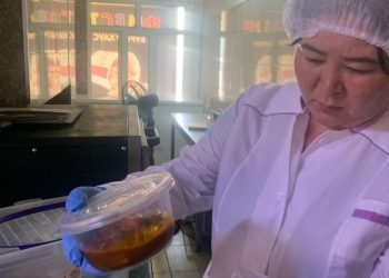 Ошто тамактануучу жайлар текшерилип, санитардык талапка жооп бербеген 6 кафе жабылды (тизме)