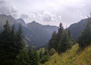 «Телефону токойдогу суу жээгинен табылды». Таласта 14 жаштагы кыз дайынсыз болуп жатат