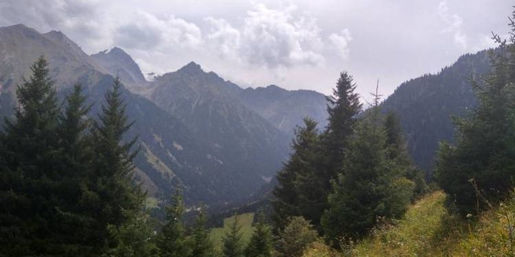 «Телефону токойдогу суу жээгинен табылды». Таласта 14 жаштагы кыз дайынсыз болуп жатат