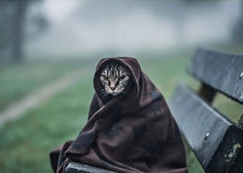 Жакынкы күндөрү өлкөдө абанын температурасы төмөндөйт