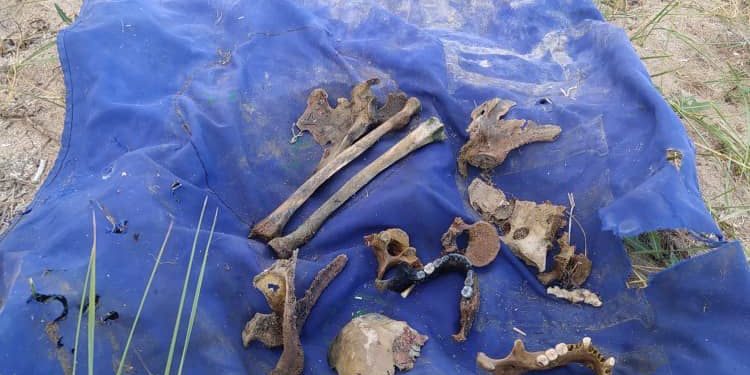 Тору-Айгырда чөгүп кеткен 4 жаштагы кызды издөө учурунда ыктыярчылар адамдын сөөгүнүн калдыктарын табышкан