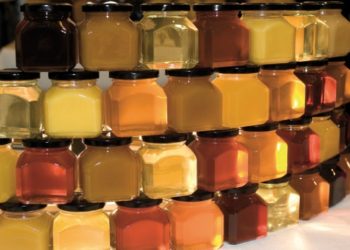 Кыргызстандан Японияга 400 тонна бал экспорттолот. Келишимге кол коюлду