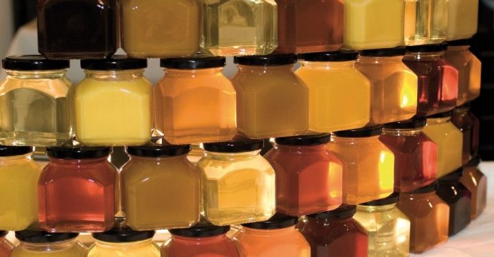 Кыргызстандан Японияга 400 тонна бал экспорттолот. Келишимге кол коюлду