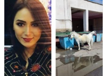 «Директор чындыкты айткан артисттерди куугунтуктоодо». Цирк артисти Асланайым Аширова Садыр Жапаровго кайрылуу жасады (фото, видео)