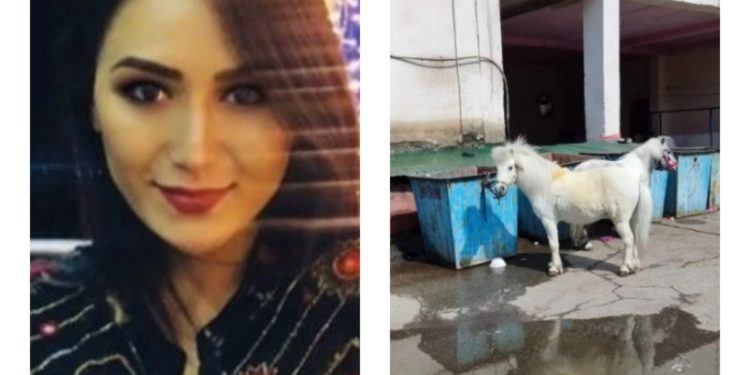 «Директор чындыкты айткан артисттерди куугунтуктоодо». Цирк артисти Асланайым Аширова Садыр Жапаровго кайрылуу жасады (фото, видео)