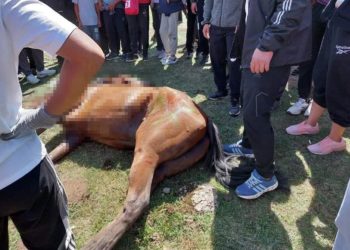 Чуңкурчактагы ат чабышта 2 күлүк өлгөнү кабарланды