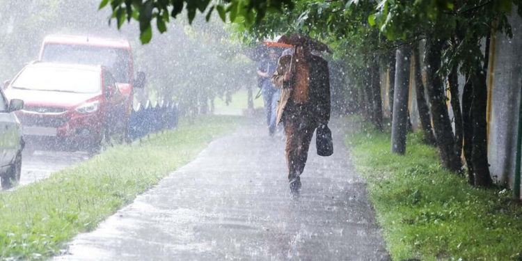 Шашылыш билдирүү! Тоолуу райондордо сел жүрүшү күтүлүүдө
