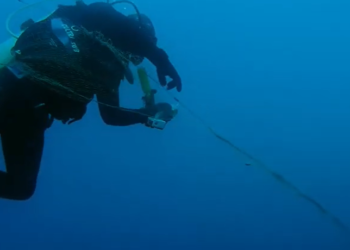 Орусияда өтүп жаткан даректүү тасмалардын фестивалында Ысык-Көлдүн булганышы тууралуу тасма көрсөтүлөт (трейлер)