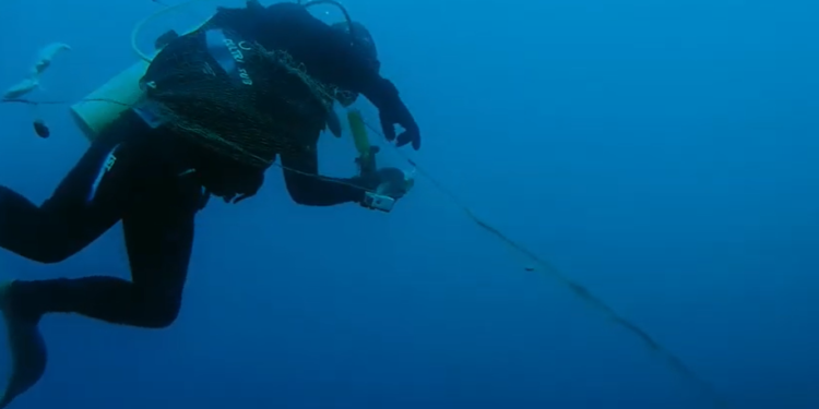 Орусияда өтүп жаткан даректүү тасмалардын фестивалында Ысык-Көлдүн булганышы тууралуу тасма көрсөтүлөт (трейлер)