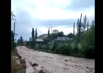 Жалал-Абад облусундагы айылдарда сел жүрдү (видео)