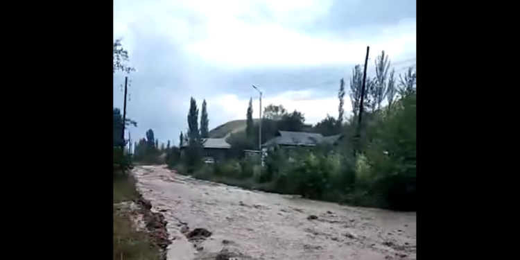 Жалал-Абад облусундагы айылдарда сел жүрдү (видео)