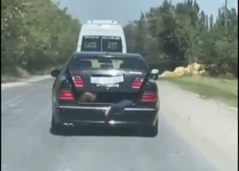 «Буту, колу чыгып калган». Унаанын багажына мас абалындагы тууганын салып алган айдоочуга айып салынды (видео)