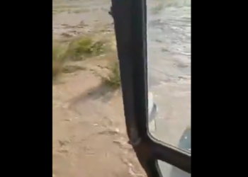 Ысык-Көлдө сел суулары 20 гектар буудай жана бедени каптады (видео)