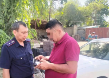 Чүйдө жөө жүргүнчүнү сүзүп, изин жашырган айдоочу кармалды