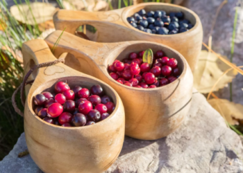 Диетолог кайсы мөмө-жемиштерди тоңдуруп коюу коркунучтуу экенин айтты