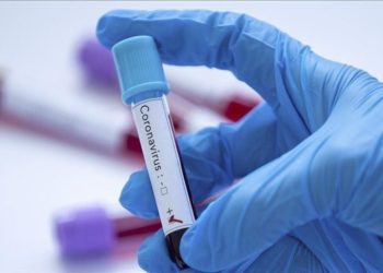 Өлкөдө акыркы аптада 339 адамдан коронавирус аныкталды