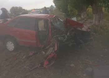 «Айдоочу менен жүргүнчү көз жумду». Ысык-Көлдө айдоочу рулга ээ боло албай даракты сүзгөн