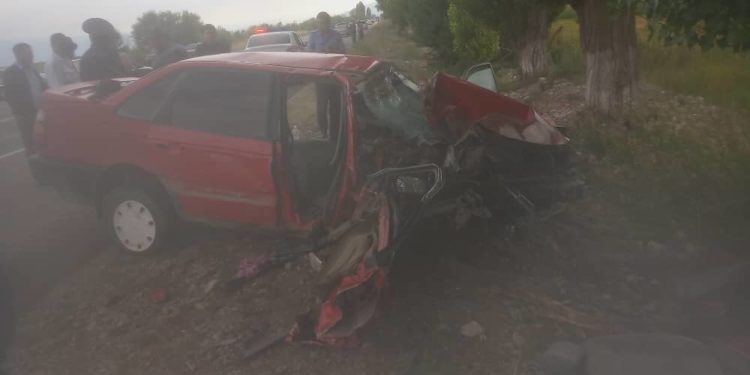 «Айдоочу менен жүргүнчү көз жумду». Ысык-Көлдө айдоочу рулга ээ боло албай даракты сүзгөн