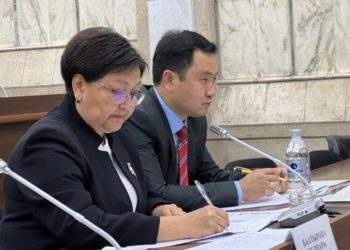 Жогорку Кеңештин комитети саламаттыкты сактоо министри кызматына Гүлнара Баатырованын талапкерлигин карап жатат