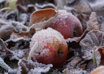 Эртең, 1-октябрда суук түшөт