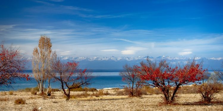 Эртеңкиге карата өлкөдө күтүлгөн аба ырайы