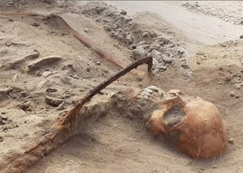 Польшада «вампир аялдын» сөөгүнүн калдыктары табылды (сүрөт)