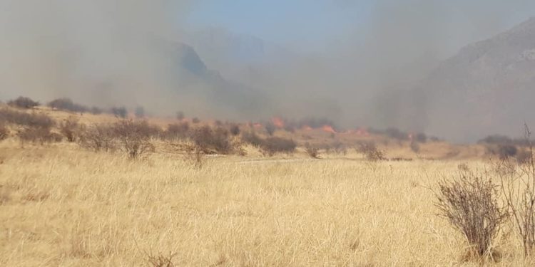 Кыргыз-тажик чек арасындагы атышуу болгон жерде өрт чыкты