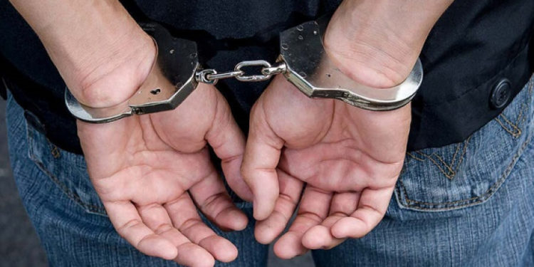 Орусияда унаада зордуктоого шектелген кыргызстандык камакка алынды