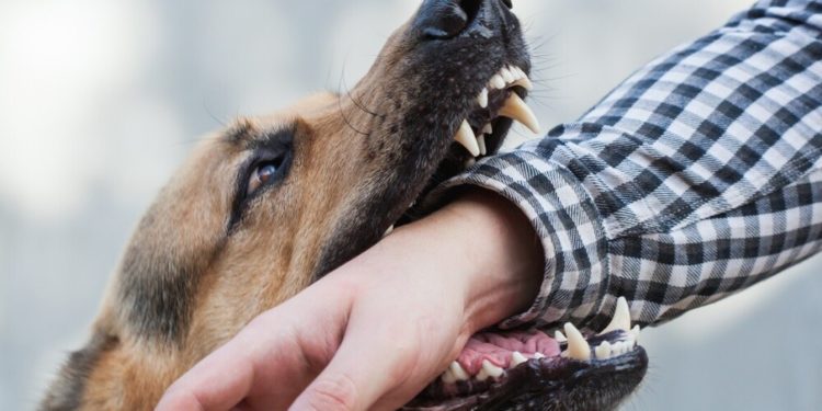 Ошто кутурма оорусуна шектелген бала ооруканага жаткырылды