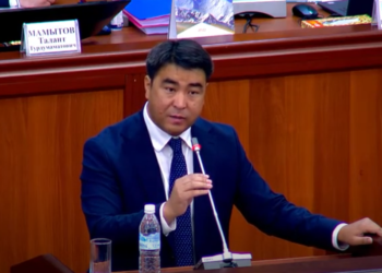 Депутат Акаев: «Азыр Жогорку Кеңештин жалгыз күчү — бул микрофон»