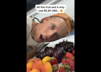 Кыргызстанга келген жер кезер 100 сомго кара өрүк, өрүк, кулпунай жана гилас сатып алганына таң калды