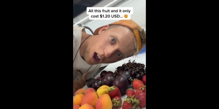 Кыргызстанга келген жер кезер 100 сомго кара өрүк, өрүк, кулпунай жана гилас сатып алганына таң калды