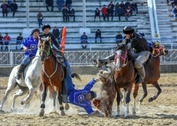 «Көрсөтмө оюнга айланып калганы бул кандай?». Көк бөрүчүлөр Көчмөндөр оюндарына баруунун зарылдыгына шектенип жатышат