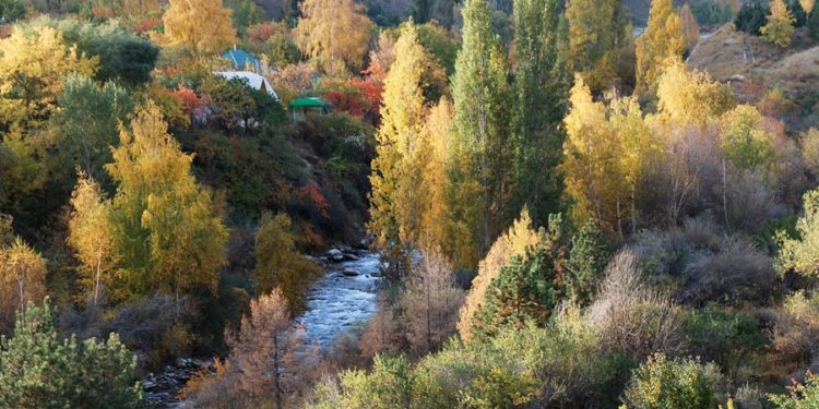 15-сентябрга карата өлкөдөгү аба ырайы