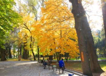 29-сентябрга карата өлкөдөгү аба ырайы