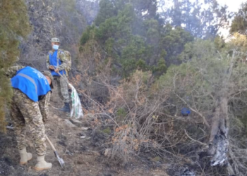 Чек арадагы атышуунун кесепетинен Булак-Башыда чыккан өрттү 51 киши өчүрүп жатат