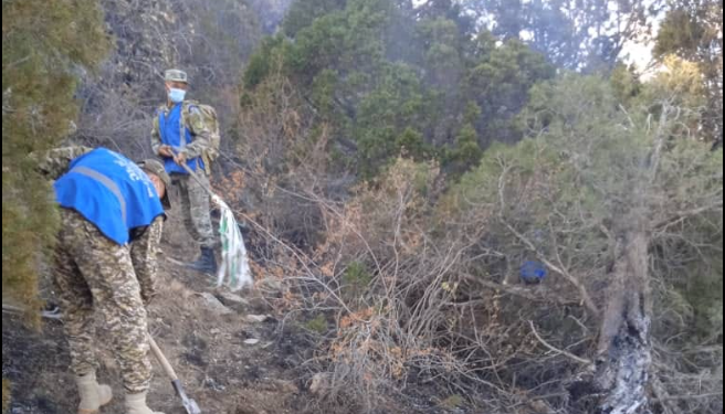 Чек арадагы атышуунун кесепетинен Булак-Башыда чыккан өрттү 51 киши өчүрүп жатат