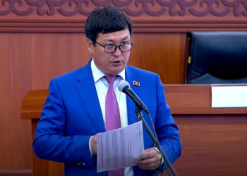 Депутат: «Чек арага чектеш айылдарга курал-жарак таратышыбыз керек»