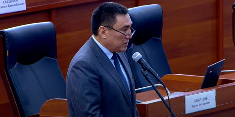 Депутат Тажикстандын кол салуусунан каза болгондор тууралуу тасма тартууну сунуштады
