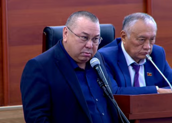 Депутат Балбак Түлөбаев Тажикстандын президенти менен коргоо министрине кайрылды